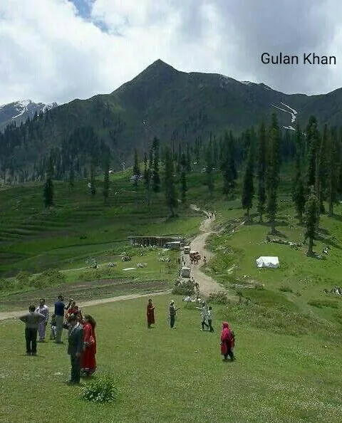 Walkers on a meadow trail beneath a pine-clad peak